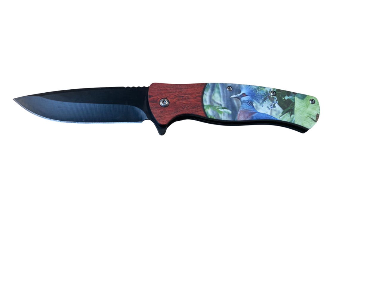 Spring Assisted Pocket Knife- Humming Bird