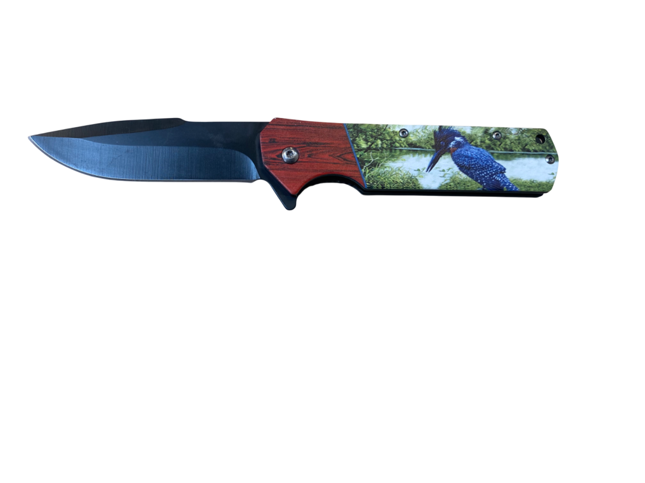Spring Assisted Pocket Knife- Humming Bird